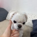 관절나라 네이버블로그