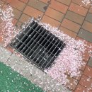 면목동-127 이미지