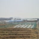 호서농장 이미지