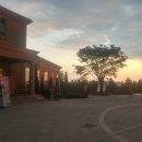 퍼스트가든(시선) 이미지