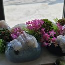 한판소프트 이미지