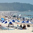 대천해수욕장 만남의 광장 이미지