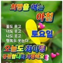 🍒카톡 인사말＜요일별＞ - (647) 이미지