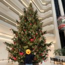 풍경호텔 | (제주)제주 파르나스 디럭스 킹룸 투숙후기 - 호텔 내부 풍경과 모닝산책까지💙