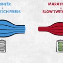 더블제이짐 이미지