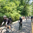 카페폭포 이미지