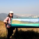 숲향여행사 이미지