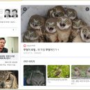 쪼아PC 이미지