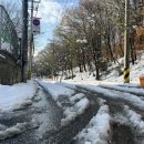 성남시립 양지테니스장 이미지