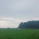 차반경로당 이미지