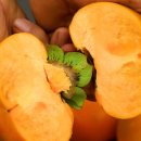 창원농장2 이미지