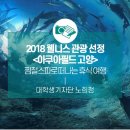 아쿠아필드 고양 이미지