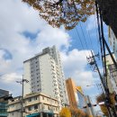 인왕중학교 이미지