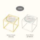 얼라이브 스튜디오 이미지