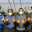 김종기농장 이미지