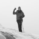 화이트사 이미지