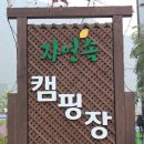 자연과우리펜션야영장 이미지