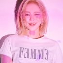 다미존
