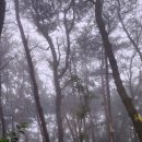 경일초 삼거리 횡단보도 일원 | #금북기맥3-2(지티고개-월명산-옥녀봉-봉림산)