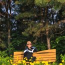 나비사랑 작은도서관 이미지