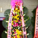 김종곤 이미지