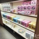 잠실 롯데월드몰 노티드 후기: 도넛 맛집 &amp; 석촌호수뷰 카페