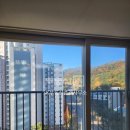 달인부동산중개사무소 이미지