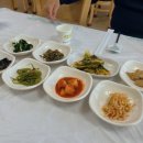 반도흑염소 농장 이미지