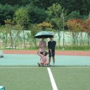 관저체육공원 Daum카페