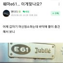 훼마 이미지