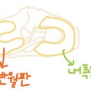 방촌오케이재활의학과의원 이미지