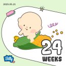 NR-48[김포대로]-하-34 | [24,25주 임신기록] 임당검사 통과/입체 초음파 성공/몸무게 변화/증상/베이징 일상