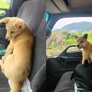 우림슈퍼 이미지