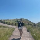 막둥이해녀복순이네 | 제주 모녀 여행 3일차 일정 | 우도 배시간표/요금 - 막둥이해녀복순이네 해물물회 먹은 후기