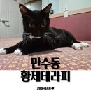 [인천만수동마사지] 황제테라피 방문후기