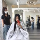 오브데이자르다