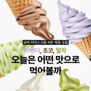 폴바셋강남삼성타운점 네이버블로그