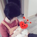 동대문구 장안동 산후도우미(유영주 관리사님)_이레아이맘 후기