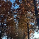 우산동 주민센터 | (강의) 임곡동 주민자치회 역량강화/ 윤상원 기념관