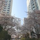 사부작사부작작업실