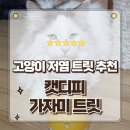 트릿 | 캣디피 고양이 저칼로리 간식 가자미 트릿 급여 후기