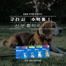 구리보룡약국 이미지