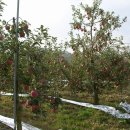 만승농장 이미지