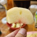 선웅농원 이미지