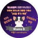 워너비옵틱 네이버블로그