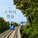 스카이노래 | [부산 스카이캡슐] 해운대 블루라인파크 스카이캡슐 후기🛤️🚞 (예약 꿀팁, 가격, 해변열차 비교 총정리)