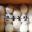 큰솔농장 이미지