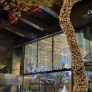 사당역일대 | 사당역 해산물과 양갈비를 동시에 파스텔시티 데이트 맛집 심비디움2 뷔페 후기