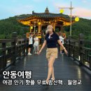 미투리 - 미추홀구 경원대로 848 | 안동 월영교 야경 월영교 달빵 크림빵 문보트 분수 여름 밤 산책 후기