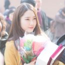 서울공연예술고등학교 이미지
